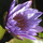 Img_3299.thumb