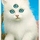 3icat.thumb