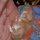 Fb_profile_picture.thumb