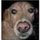 Fb_profile_picture.thumb