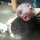 Fb_profile_picture.thumb