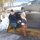 Fb_profile_picture.thumb