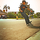 4492490434_baf4021ac1_o.thumb