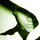 Icon.thumb