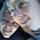 Fb_profile_picture.thumb