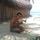Fb_profile_picture.thumb