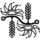 Suns_crest.thumb