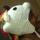Fb_profile_picture.thumb