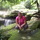 100_2475.thumb