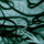 Photo-13_2.thumb
