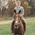 Fb_profile_picture.thumb