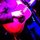 Fb_profile_picture.thumb