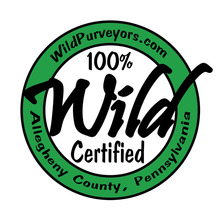 Certifiedlogotrans.sticker1.large