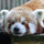 Tumblr_lmxmhleh1x1qiexsao1_1280.thumb