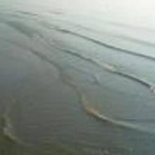 Fb_profile_picture.large