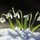 Fb_profile_picture.thumb