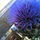 Img_1614.thumb