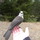 Dscn2820.thumb