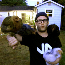 _portland-chickens.large