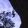 Fb_profile_picture.thumb