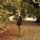 Fb_profile_picture.thumb