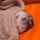 Istock_000008351081xsmall.thumb