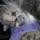 Fb_profile_picture.thumb