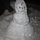 Fb_profile_picture.thumb