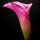 Fb_profile_picture.thumb