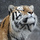 3718_8676_480.thumb
