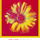 10056249.thumb