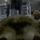 2011-02-22_12-57-40_544.thumb