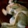 Imag0220.thumb