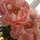 Fb_profile_picture.thumb