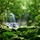 Biodiversity.thumb