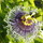 Dsc00475.thumb