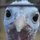 66318_1598321313404_1097144313_1690935_3960219_n.thumb