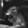 Fb_profile_picture.thumb