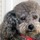 100_0058.thumb