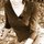 Fb_profile_picture.thumb