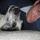 Fb_profile_picture.thumb