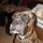Dsc00277.thumb