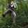 N728076073_450405_9651.thumb