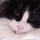Xue_fang_by_heykiller.thumb