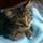 Fb_profile_picture.thumb