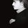 Fb_profile_picture.thumb