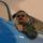 Rich_6.thumb