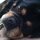 Fb_profile_picture.thumb