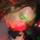 Fb_profile_picture.thumb
