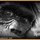 Fb_profile_picture.thumb